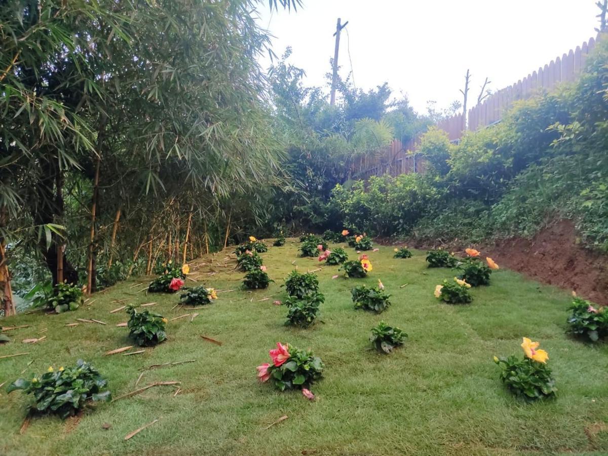 Hotel Misty Rain Estate à Madikeri Extérieur photo