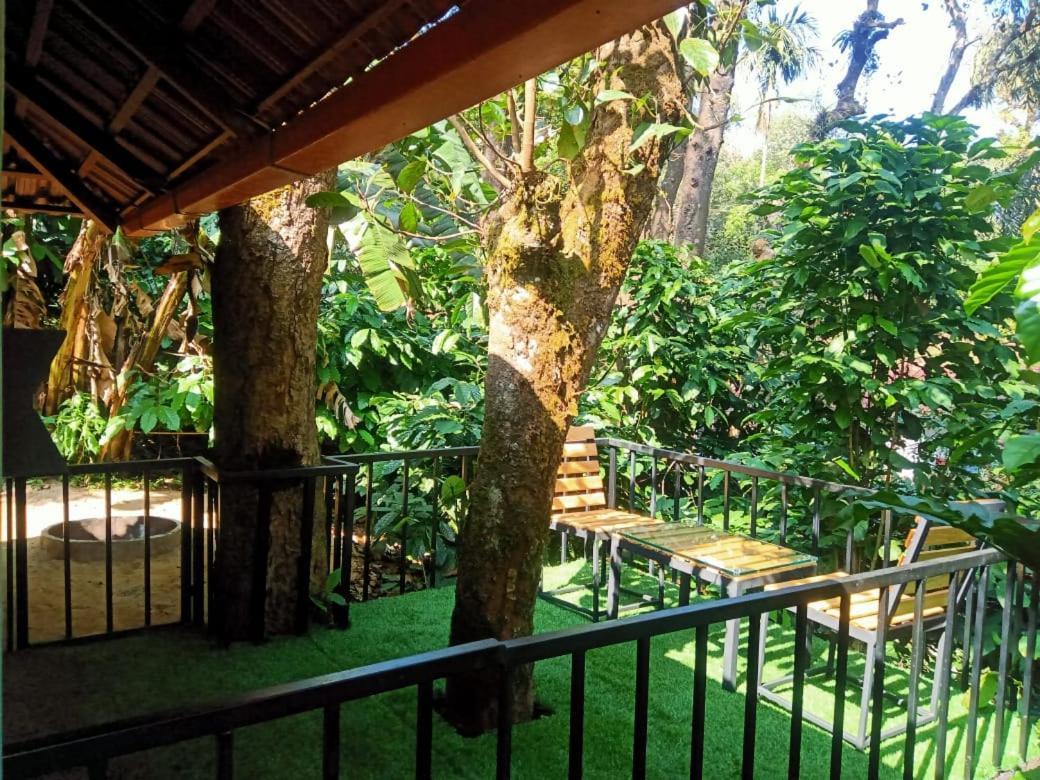 Hotel Misty Rain Estate à Madikeri Extérieur photo