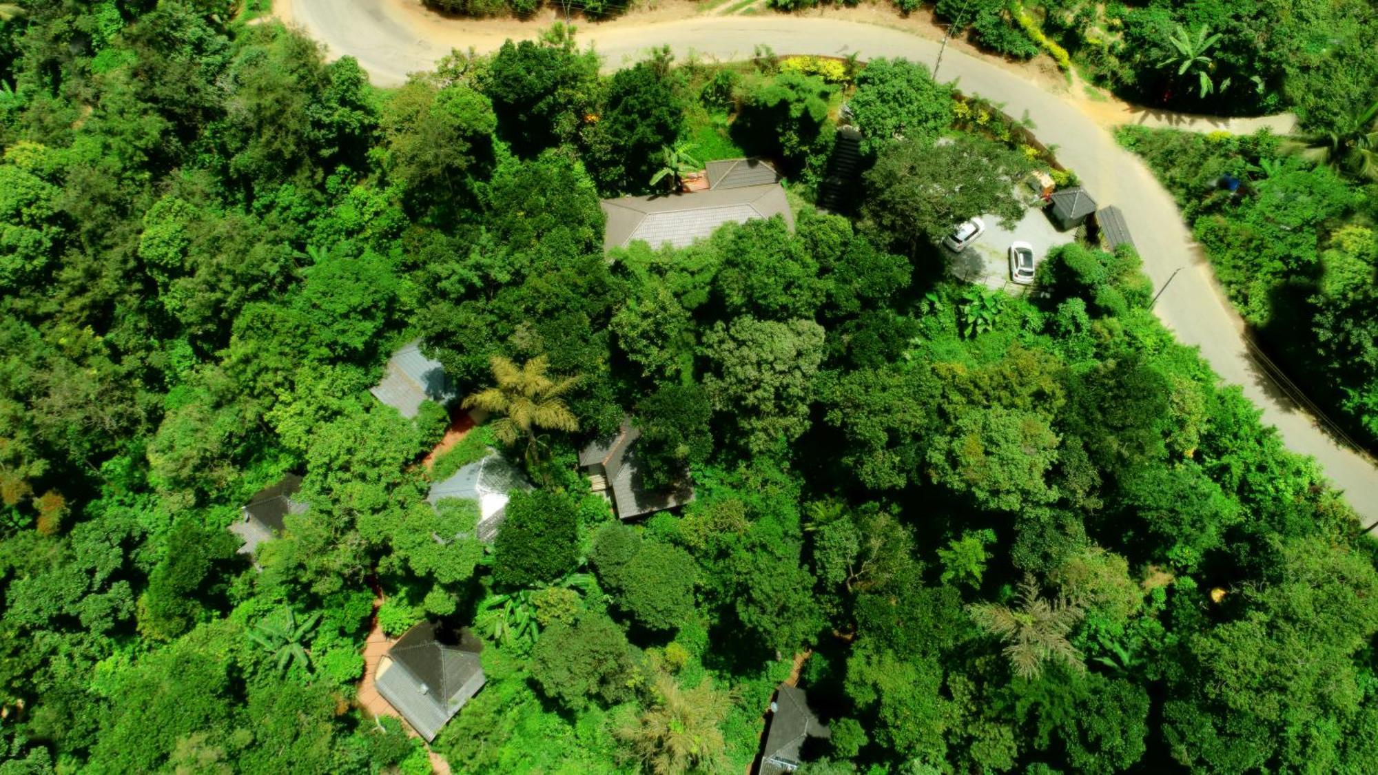 Hotel Misty Rain Estate à Madikeri Extérieur photo
