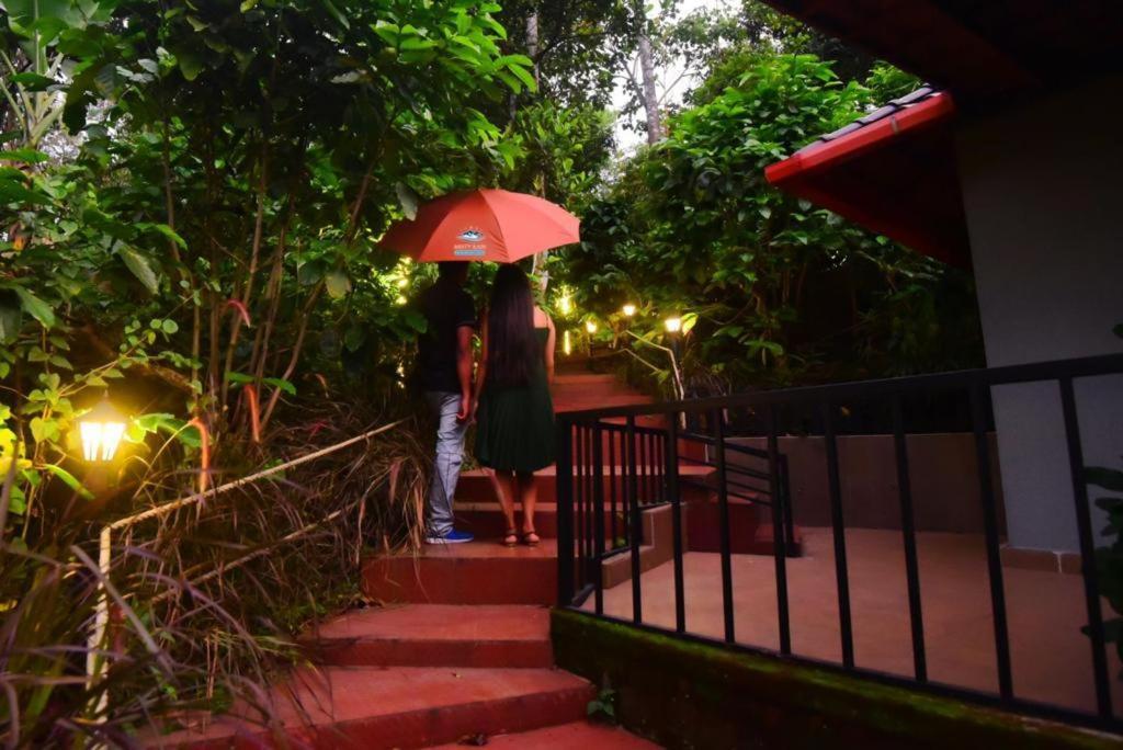 Hotel Misty Rain Estate à Madikeri Extérieur photo
