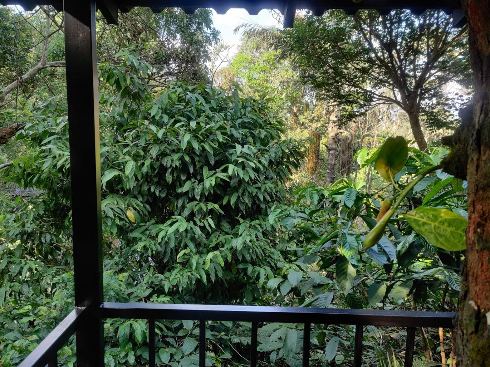 Hotel Misty Rain Estate à Madikeri Extérieur photo