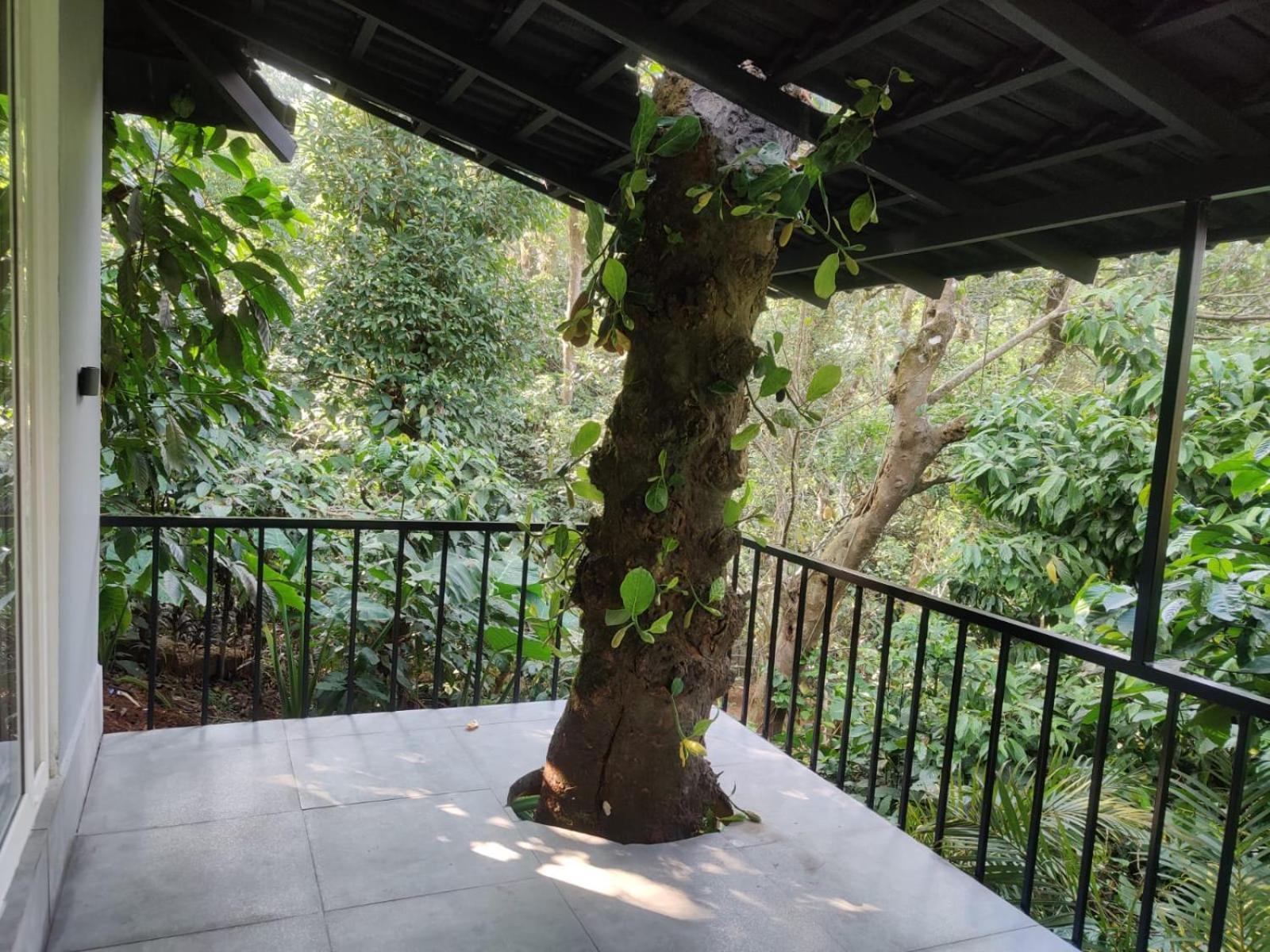 Hotel Misty Rain Estate à Madikeri Extérieur photo