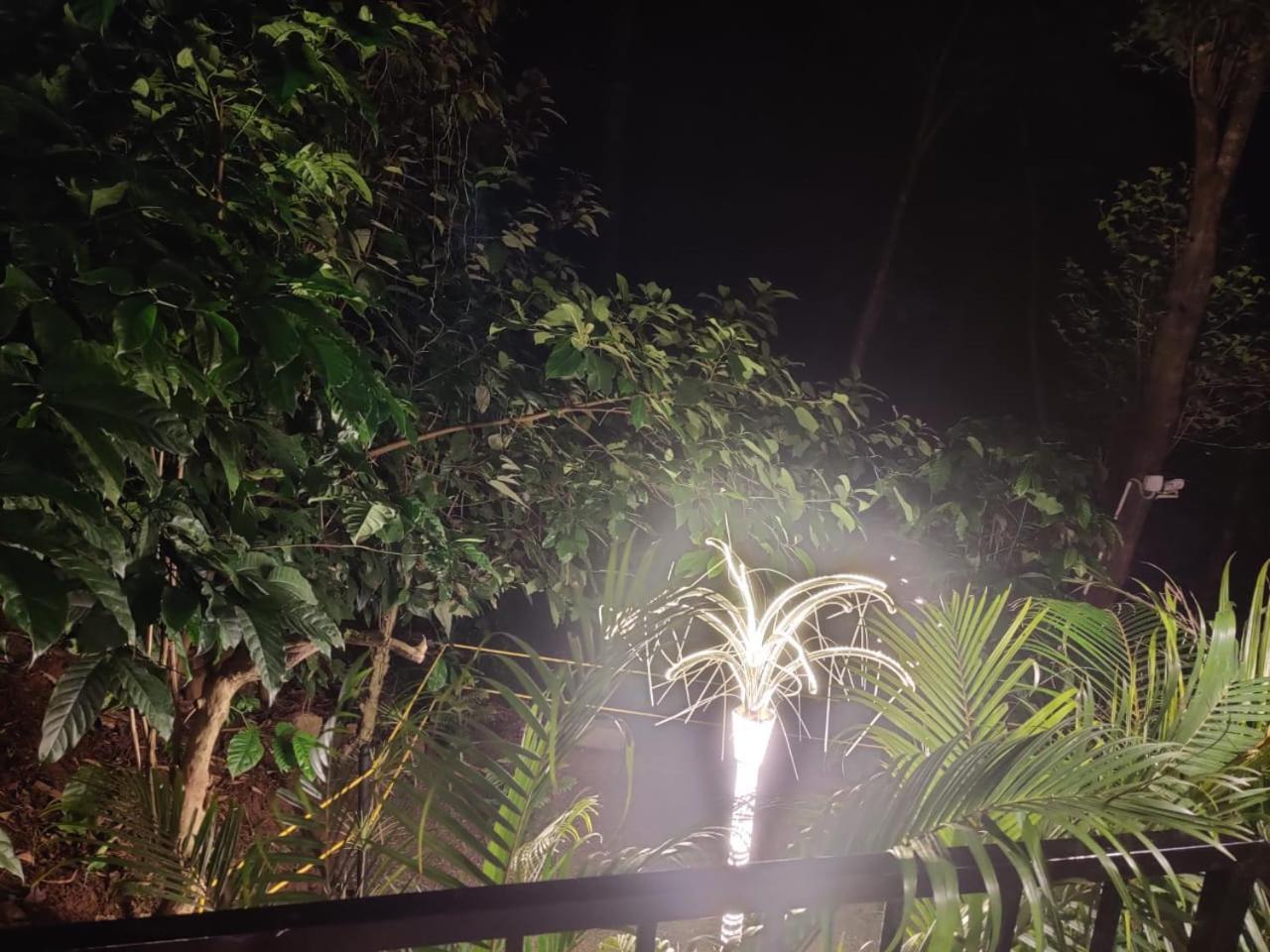 Hotel Misty Rain Estate à Madikeri Extérieur photo