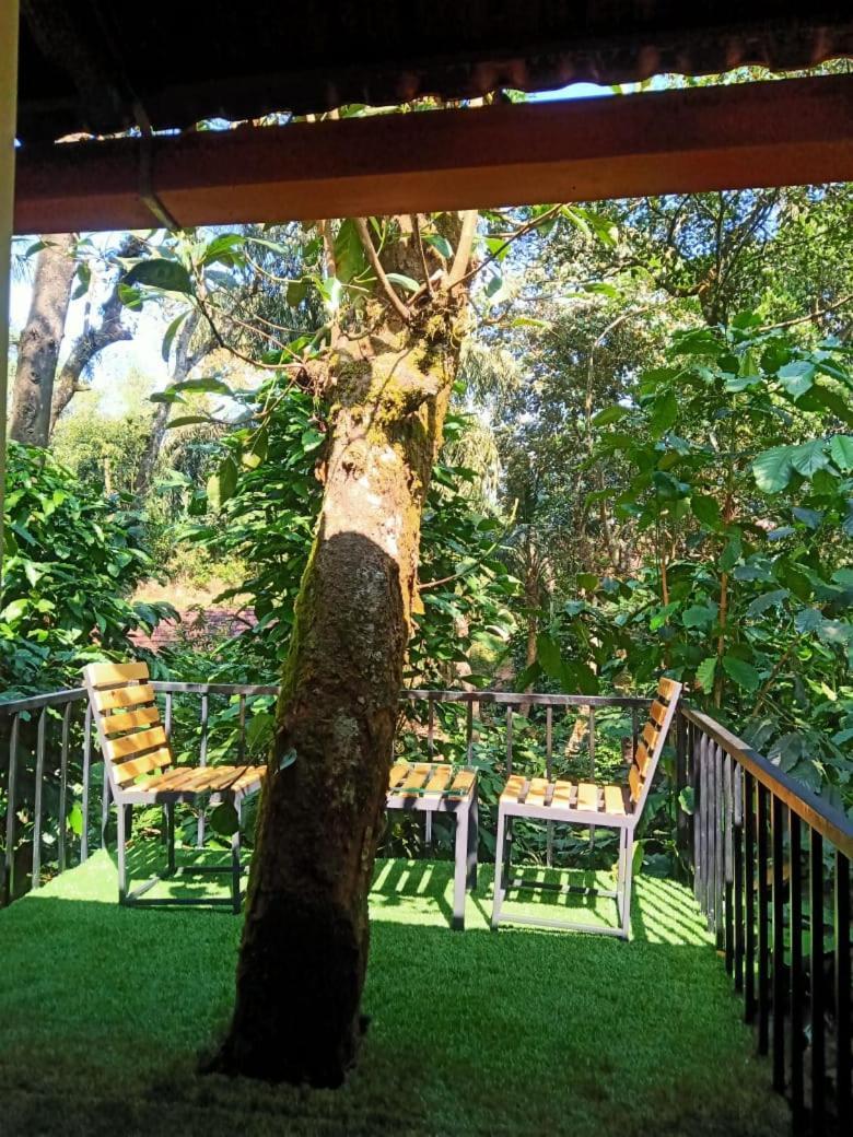 Hotel Misty Rain Estate à Madikeri Extérieur photo